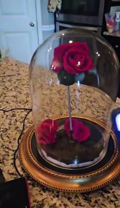 Enchanted Rose in glass dome